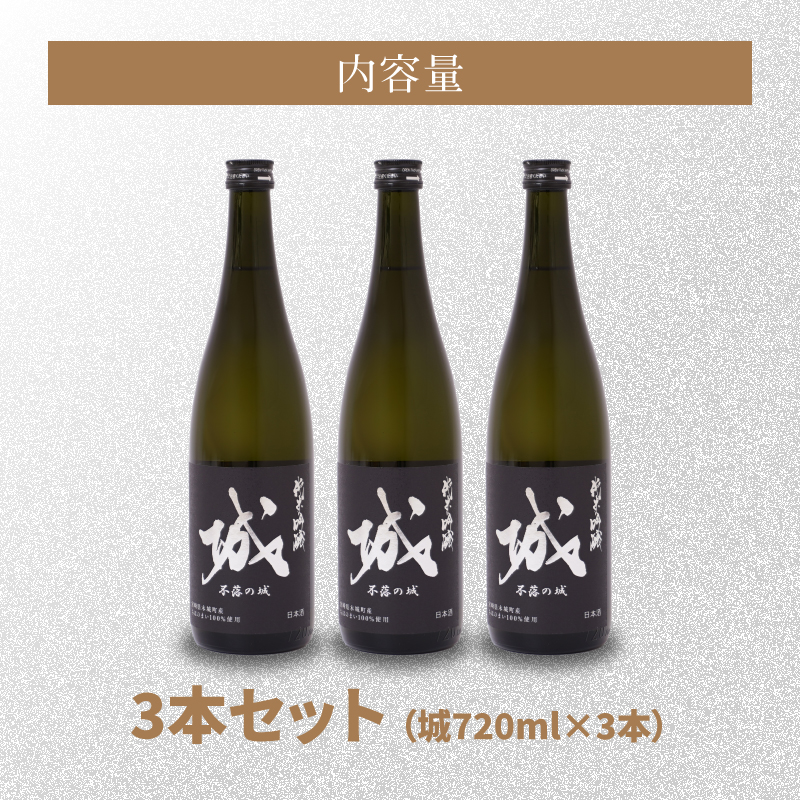 宮崎県木城町のふるさと納税 ＜【7日以内に発送！】令和7年産 木城町・毛呂山町 新しき村友情都市コラボ 日本酒 純米吟醸「城 ～不落の城」3本＞ K21_0028