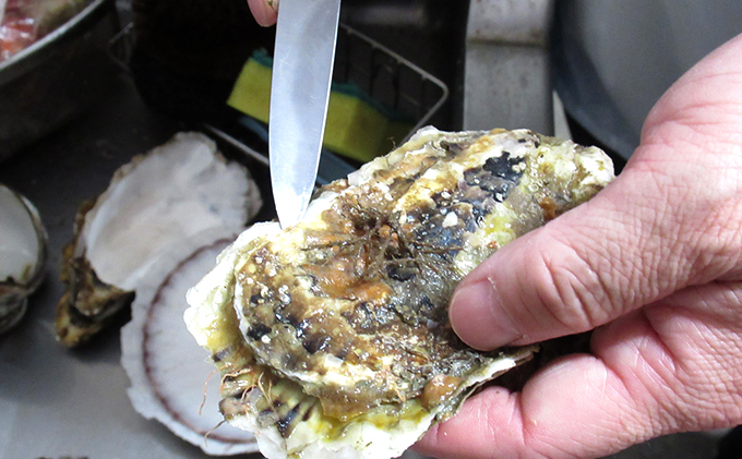 厚岸のブランド牡蠣「マルえもん」2Lサイズ40個（生食用） / 北海道厚岸町 | セゾンのふるさと納税