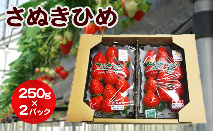 香川県「さぬきひめいちごDXパック（250g×2）」 / 香川県東かがわ市