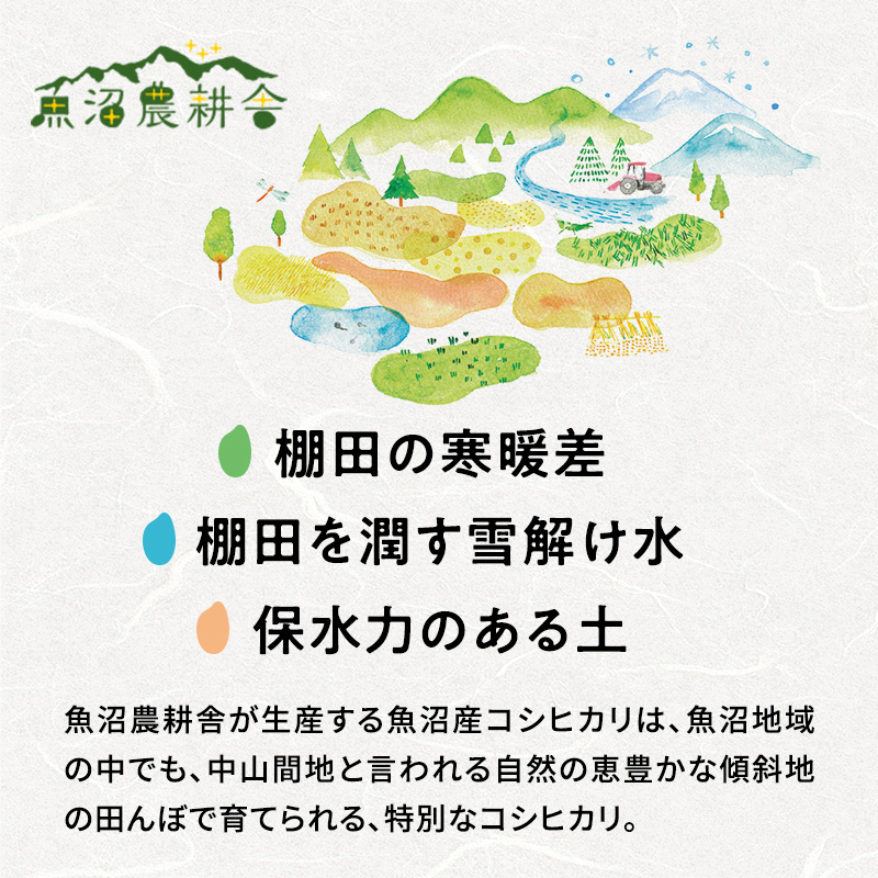 [令和5年産]特別栽培米魚沼産コシヒカリ（精米）5kg|一般財団法人魚沼農耕舎