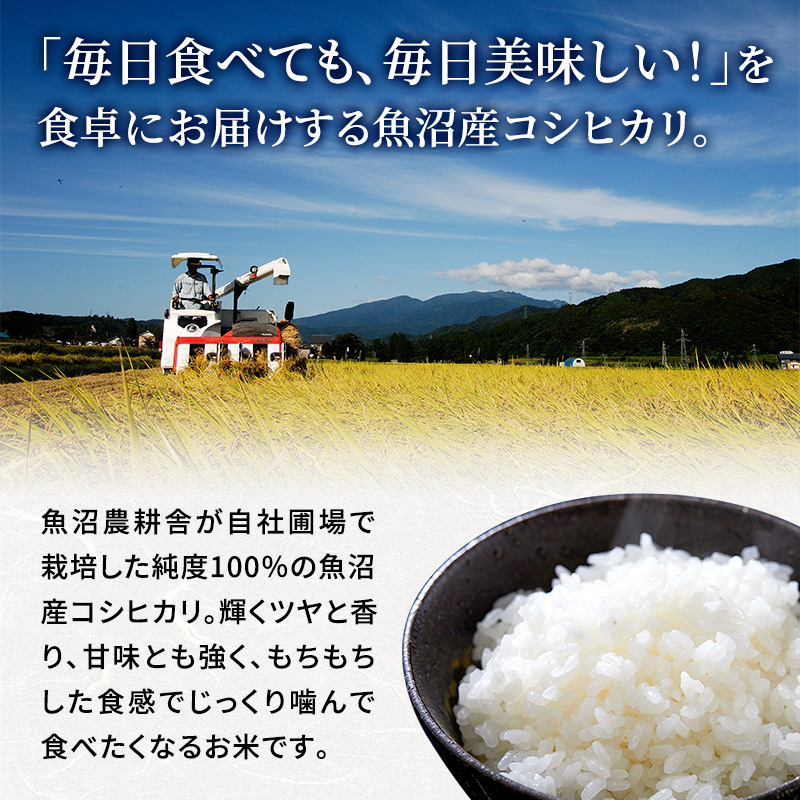 定期便 隔月 全6回 お届け 魚沼産 コシヒカリ 精米 5kg ( 米 お米 こめ コメ おこめ 白米 こしひかり 6ヶ月 30kg お楽しみ  )|一般財団法人魚沼農耕舎