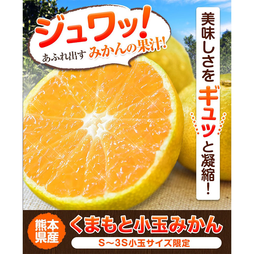 熊本県長洲町のふるさと納税 みかん 訳あり くまもと小玉みかん 10kg (10kg×1箱) 秋 旬 先行予約 ちょっと訳あり 不揃い 傷 ご家庭用 SDGs 小玉 たっぷり 熊本県 産 S-3Sサイズ フルーツ 旬 柑橘 長洲町 温州みかん《10月下旬-11月中旬頃出荷》