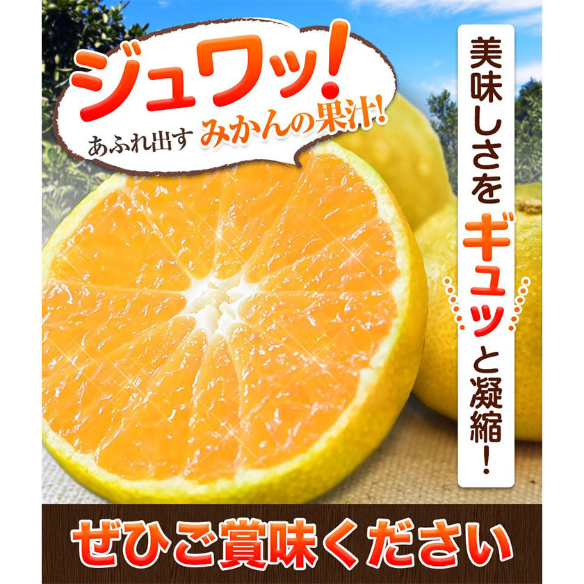 熊本県長洲町のふるさと納税 みかん 訳あり くまもと小玉みかん 10kg (10kg×1箱) 秋 旬 先行予約 ちょっと訳あり 不揃い 傷 ご家庭用 SDGs 小玉 たっぷり 熊本県 産 S-3Sサイズ フルーツ 旬 柑橘 長洲町 温州みかん《10月下旬-11月中旬頃出荷》