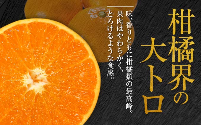 宮崎県日南市のふるさと納税 数量限定 せとか 計3kg以上 フルーツ 果物 柑橘 みかん 希少 国産 人気 食品 デザート 送料無料_CD42-23