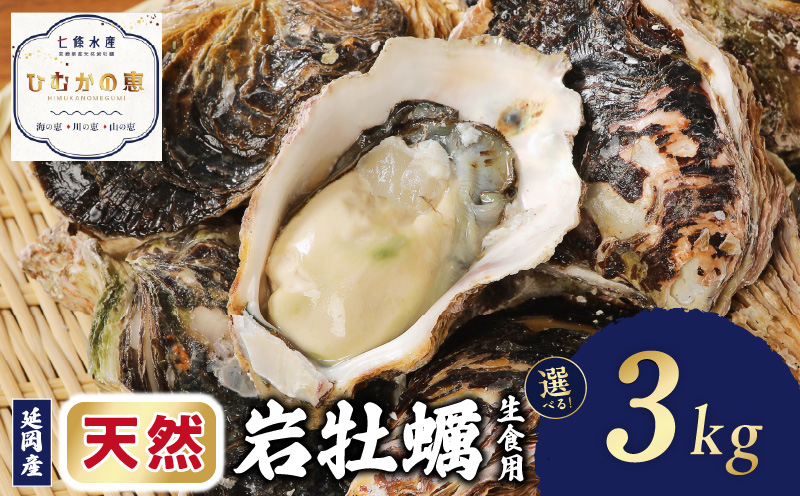 延岡産天然岩牡蠣(生食用)3kg(大)(2025年4月から発送開始)