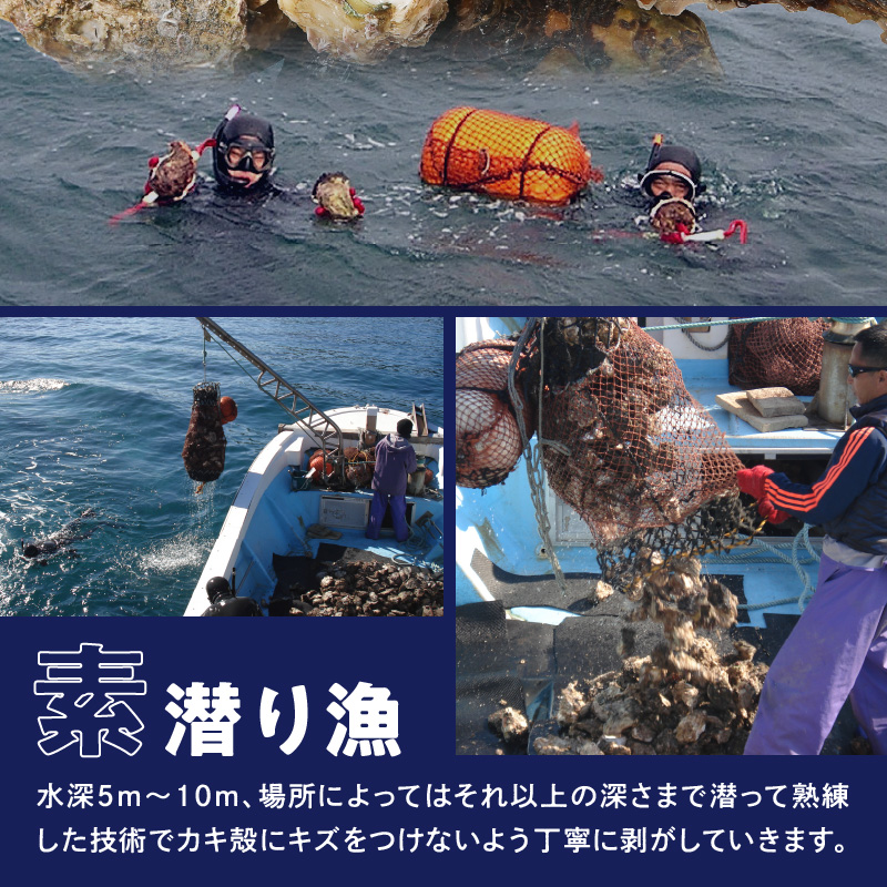 宮崎県延岡市のふるさと納税 延岡産天然岩牡蠣（生食用）3kg（大）（2025年4月から発送開始） N036-YZA527