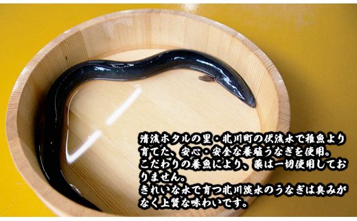 北川鰻の白焼き（2尾）　N010-ZA479|北川淡水株式会社