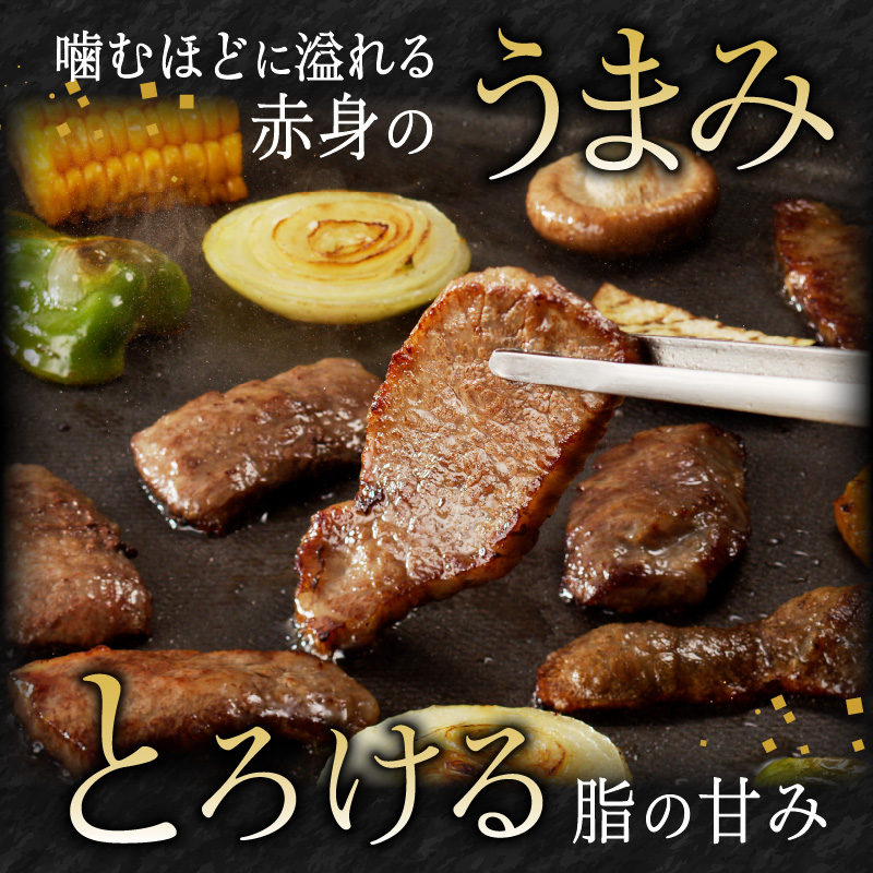 宮崎県延岡市のふるさと納税 宮崎牛焼肉450g(A5等級) N061-YA672