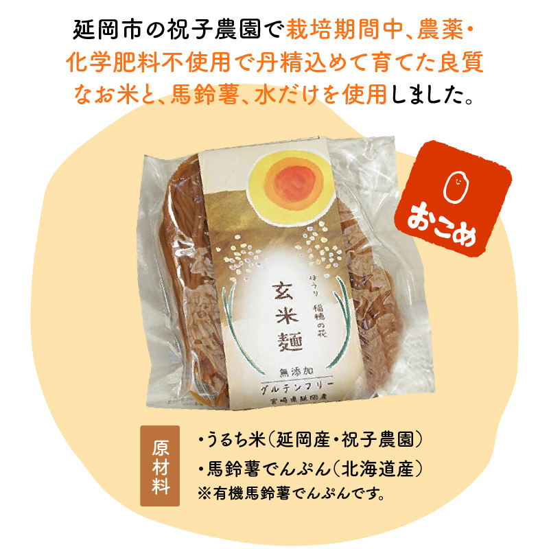 グルテンフリー】無添加玄米麺 計100g×6袋 A058 / 宮崎県延岡市 | セゾンのふるさと納税