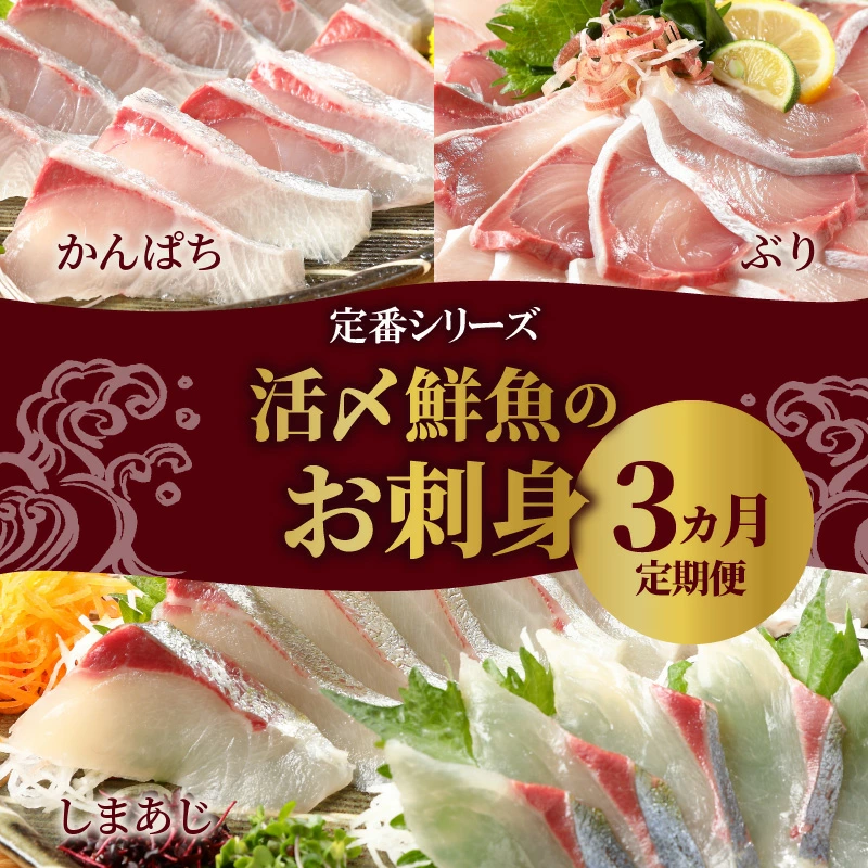 定期便 定番シリーズ 活〆鮮魚のお刺身（3