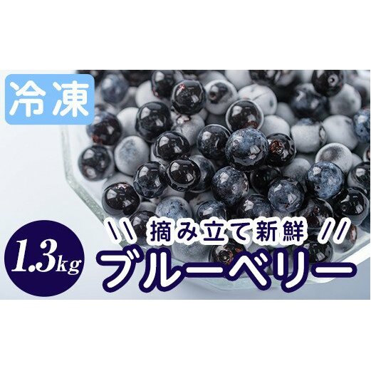 霧島市産ブルーベリー1.3kg(冷凍) 霧島市産 ブルーベリー 冷凍 新鮮