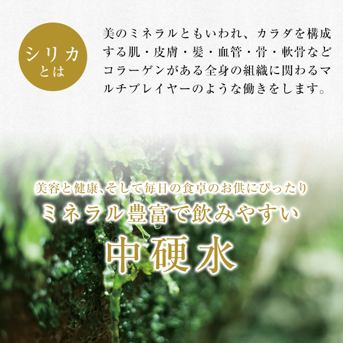 鹿児島県霧島市のふるさと納税 B-025 ＜定期便・全5回＞関平鉱泉水10L×1箱！美容と健康のミネラル成分シリカが豊富なミネラルウォーター【関平鉱泉所】霧島市 シリカ水