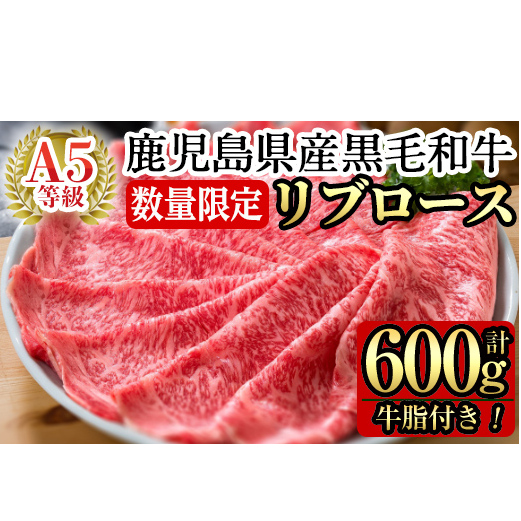 C-080 ＜数量限定！＞鹿児島県産黒毛和牛リブロース肉600g(A-5等級