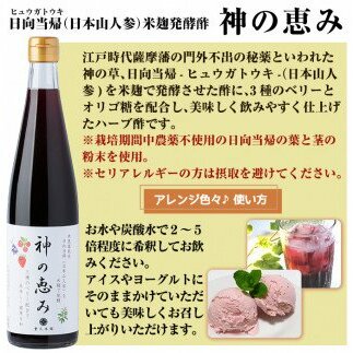 B0-158 最高峰三年熟成玄米黒酢・金之琥珀＆日向当帰(日本山人参)米麹