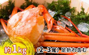 【おすすめ】紅ズワイガニ約1kg（2～3尾）【棚辺水産】