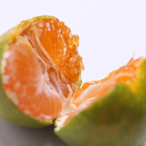 家庭用 極早生有田みかん2.5kg+250g（傷み補償分）【希少な新品種YN26】【菊みかん入り】 ※北海道・沖縄・離島への配送不可 ※2025年10月上旬～11月中旬頃に順次発送予定