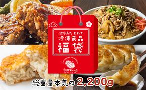 今井ファームの冷凍食品お楽しみ福袋 【ハンバーグ 牛丼 餃子 コロッケ】　　[福袋 ハンバーグ 福袋 牛丼 福袋 ギョウザ 福袋 コロッケ 福袋]