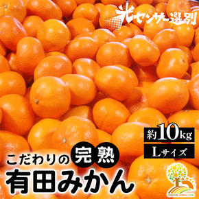 ＼光センサー選別／完熟有田みかんＬサイズ　約10kg 有機質肥料100%
※2024年11月中旬頃～2025年1月上旬頃に順次発送予定
※沖縄・離島への配送不可