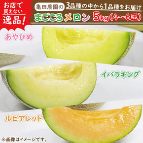 【2025年5月中旬より順次発送】★数量限定★お店で買えない逸品！亀田農園のまごころメロン5kg(4～6玉)｜果物 くだもの メロン ルピアレッド イバラキング あやひめ 数量限定 茨城県 行方市（B-1-1）