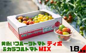 黄色いフルーツトマト「ティポ」＆カラフルトマトMIX　計1.8kg（1箱）《10月中旬～5月末頃出荷》 ジャム さっぱり 黄色いトマト カラフル 詰め合わせ 食べくらべ 個性豊か---yuki_fab_2_1800g---
