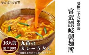 カレーうどん 丸亀からお届け コク旨 カレー うどん 16人前 麺類 乾麺 生麺 半生麺 讃岐 レンジ 本格的 本場 簡単 スパイス 手軽 人気 電子レンジ ご家庭用 家庭用 ギフト 一人暮らし 