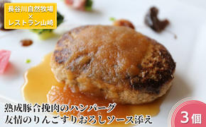 ハンバーグ 熟成豚合挽肉のハンバーグ 3個 友情のりんごすりおろしソース添え セット 湯煎 温めるだけ レトルト 小分け 個包装 お試し 簡単 簡単調理 惣菜 おかず お弁当 弁当 時短 肉 お肉 熟成肉 豚肉 ギフト 贈答 冷凍 長谷川自然牧場産