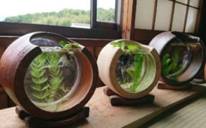 【東児の花窯】備前焼　めだか鉢　ベージュ　緋襷（ひだすき） 民芸品 工芸品 インテリア 