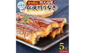 【数量限定！】仁淀川特大肉厚うなぎ5尾セット　鰻 うなぎ 仁淀川 四万十 肉厚 スタミナ 疲労回復 ウナギ お取り寄せグルメ 高知 鰻蒲焼き 故郷納税 ふるさとのうぜい 返礼品 高知県 高知 国産