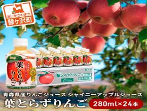 りんごジュース 青森 シャイニーアップルジュース 葉とらずりんご 280ml×24本 風丸農場 りんご ジュース 100% ストレート アップルジュース フルーツジュース 果物ジュース ペットボトル フルーツ 果物 飲料 リンゴ 林檎 青森県産 青森県