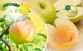 志賀高原の麓で育った ぐんま名月 秀18玉 約5kg りんご 5kg フルーツ 果物 デザート 長野