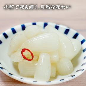 ふるさとの味 国産らっきょ 1kg