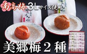 南高梅 梅干し 美郷梅 一粒入り うま味昆布 & シソ風味 各6粒 3Lサイズ A級品 化粧箱入り [春夏秋冬いっつもや 宮崎県 美郷町 31ab0101] 国産 セット 詰め合わせ 宮崎県産 美郷産 常温 送料無料 贈答品 父の日 母の日 プレゼント ギフト