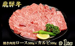 ふるさと納税　飛騨牛 ロース＆カルビ 焼肉 セット  計1kg A5 和牛 牛肉 お肉 ロース カルビ 食べ比べ 焼肉用 バーベキュー BBQ