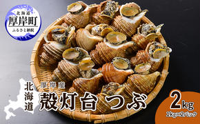 先行予約 北海道 厚岸産 殻灯台 つぶ 2kg（1kg×2パック） 魚介類 海の幸 海産物 海鮮 貝 つぶ貝 希少 下処理不要 刺身 塩茹で お酒のあて つまみ 国産 北海道産 