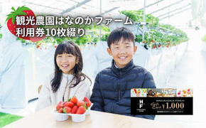 観光農園はなのかファーム利用券10枚綴り チケット 体験チケット いちご狩り カフェ お出かけ 休日 