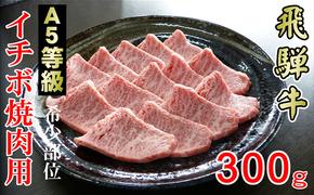 牛肉 飛騨牛 焼肉 希少部位 イチボ 300g 赤身 モモ 黒毛和牛 A5 美味しい お肉 牛 肉 和牛 焼き肉 BBQ バーベキュー 【岐阜県輪之内町】