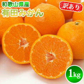 AN6112_【先行予約】有田みかん【訳あり】1kg SS～2Lサイズ混合 農家直送