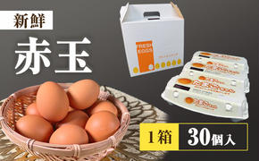 アスタキサンチンたまごちゃん 10個入り×3パック 卵 鶏卵 アスタキサンチン 抗酸化パワー 直売店 絶品 生食 人気 美味しい 話題 卵かけごはん 新鮮 