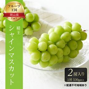 ぶどう 2025年 先行予約 ご家庭用 シャイン マスカット 晴王 優品 2房入り（1房 530g以上 露地栽培） ブドウ 葡萄  岡山県産 国産 フルーツ 果物