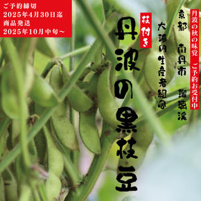 枝豆 京都 2025年 先行予約 丹波の枝付き黒枝豆 るり渓 大河内生産組合発 丹波 野菜 国産 生 黒枝豆 おつまみ えだまめ エダマメ 先行 ※北海道・沖縄・離島への発送不可