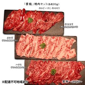 黒毛和牛 焼肉 セット 合計約930g カルビ ハラミ 牛セセリ【雲龍焼肉たれ付】 雲龍  岡山県産 肉 お肉 牛肉 和牛 牛カルビ 牛ハラミ せせり 焼肉セット 焼き肉 3種 