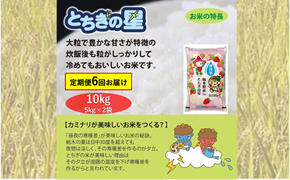 【定期便 6ヶ月】栃木県鹿沼市産 とちぎの星 無洗米 10kg（5kg×2袋） 6回お届け 令和6年産 水稲うるち精米 単一原料米 お米 特A 大粒 甘さ 