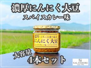 大容量 濃厚にんにく大豆 スパイスカレー味 4本 セット