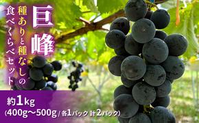 巨峰（種ありと種なし）の食べくらべセット 約1kg 2025年（R7年）9月中旬～10月下旬頃出荷予定 