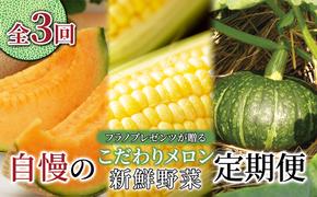 【年3回定期便】【2025年7～10月お届け】高品質 フラノプレゼンツ が贈る 赤肉 メロン＆野菜 定期便 (メロン とうもろこし かぼちゃ  北海道 富良野市 野菜 果物 フルーツ 甘い 新鮮 ふらのメロン いも コーン 夏野菜)