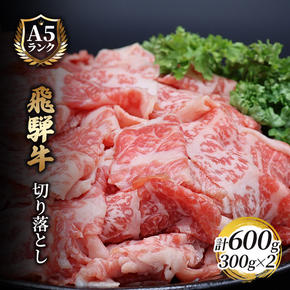 飛騨牛切り落とし　600ｇ(300g×2) 牛肉 お肉 国産 黒毛和種 柔らかい とろける くちどけが良い 霜降り 細かいサシ 食材 食卓 グルメ 