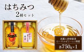 はちみつ セット 2種 高麗人参蜂蜜漬・ローヤルゼリー入り蜂蜜 各750g×1 ハチミツ 蜂蜜 健康 KS-60 