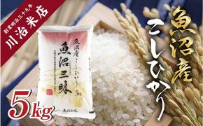 令和6年産新米 魚沼産 コシヒカリ 5kg 米 こしひかり お米 コメ 新潟 魚沼 魚沼産 白米 送料無料 新潟県産 精米 産直 産地直送 契約農家 お取り寄せ 魚沼三昧 川治米店 新潟県 十日町市 