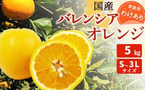 ZT6246_国産 バレンシアオレンジ 【訳あり 家庭用】 5kg S～3Lサイズ