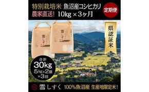 【令和6年産】定期便！農家直送！県認証特別栽培魚沼産コシヒカリ【合計30kg】毎月10kg×3回